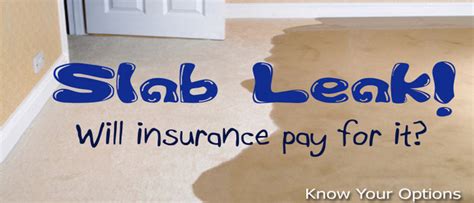 gainesville fl slab leak detection|Gainesville Leak Detection Services